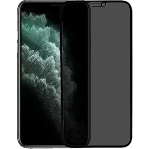iPhone Xs Max Tam Kaplayan Hayalet Privacy Kırılmaz Cam