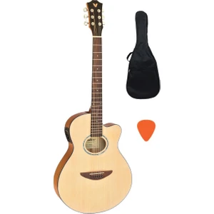 AGX290 Na Elektro Akustik Gitar