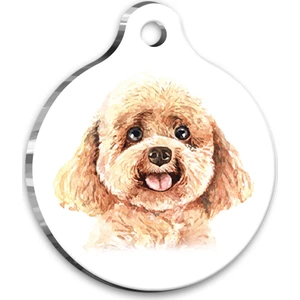 Pet Tag Art Suluboya Toy Poodle Yuvarlak Köpek Künyesi