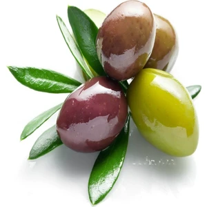 Reyon Ermenek Tüplü İri Meyveli Kalamata Zeytin Fidanı