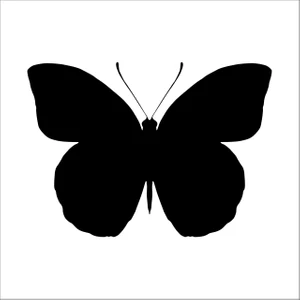 Kelebek  Folyo Sticker 12 20 cm Uzunluk