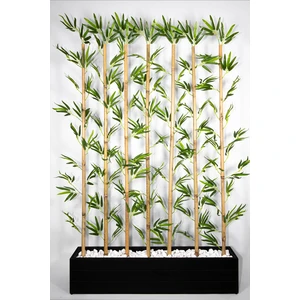 Yapay Çiçekçiniz Ahşap Saksıda 170 cm Bambu Seperatör