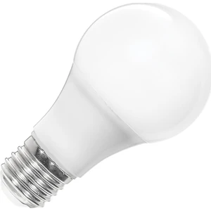 9W 12'li Paket LED A60 Ampul 6500K Beyaz AA13-00923