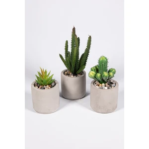 Yapay Çiçekçiniz Gri Beton Saksıda 3 Lü Kaktüs Seti