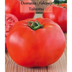 Domates Tohumu 1 Paket (5GR=1250+ Adet) Iri Etli Domates Falcon Domates Tohumu