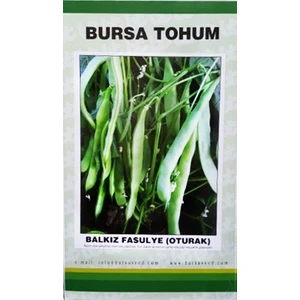 Bursa Tohum Balkız Fasulye Tohumu 1 kg