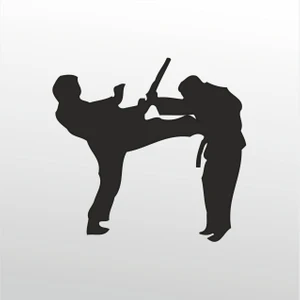 Folyo Sticker Taekwondo 101 40 cm Uzunluk