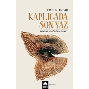 Kaplıcada Son Yaz - Feridun Andaç