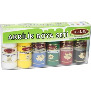 Akrilik Boya Seti-2 6X30Cc