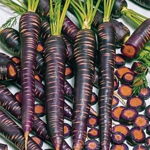 Fide Vadisi Havuç Tohumu Şalgamlık Siyah – 5gr