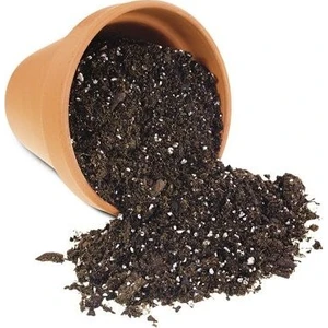 Torflu Gübreli Saksı Toprağı 10 lt