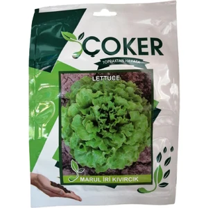 Makrogen Seed Çoker Marul Iri Kıvırcık Tohumu 1 Paket