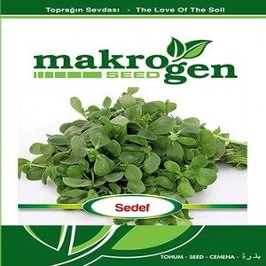 Makrogen Seed Semizotu Tohumu 10 gr