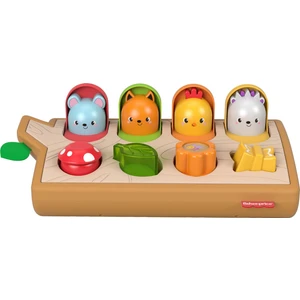 Fisher Price Sürprizli Arkadaşlar Aktivite Oyuncağı GJW24