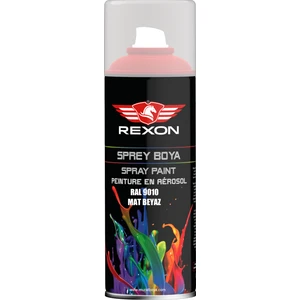Ral 9010 Mat Beyaz 400 ml