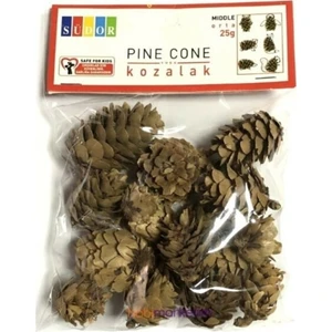 Doğal Çam Kozalakları Orta Boy 25 gr