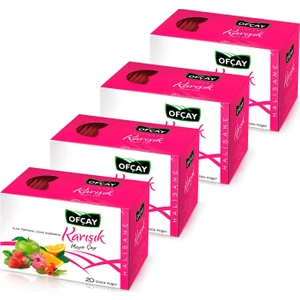 Halisane Karışık Meyve Çayı 80 (20 x 4)
