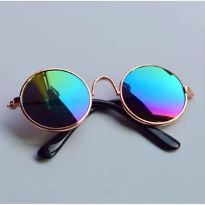 Kedi ve Küçük Irk Köpek Güneş Gözlüğü