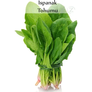 Ispanak Tohumu 1 Paket (10GR=950+ Adet) Matadorr Ispanak Tohumu