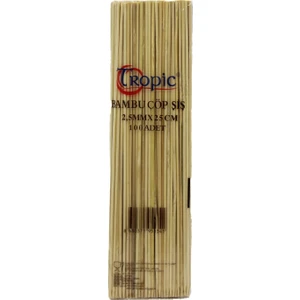 25 cm Çöp Şiş 100'lü