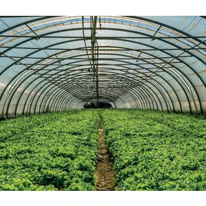 SERA NAYLONU 12 AYLIK 220mc 8m X 12m