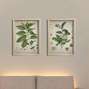 Dekor Loft Doğal Çam Çerçeveli Mutfak Duvar Tablosu Antik Çay ve Kahve Bitkileri