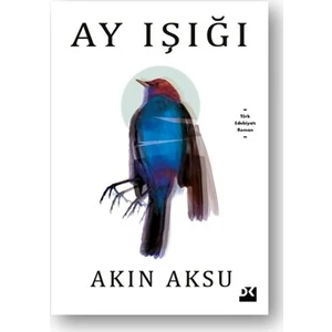 Ay Işığı - Akın Aksu