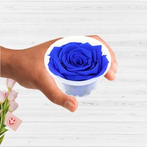 Süsle Bebek ve Parti Şoklanmış Solmayan Gül, 5 cm - Lacivert