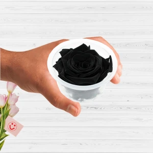 Süsle Bebek ve Parti Şoklanmış Solmayan Gül, 5 cm - Siyah