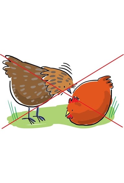 Royal İlaç Avian Peckstone Tavuk Gagalama Taşı- 10 kg
