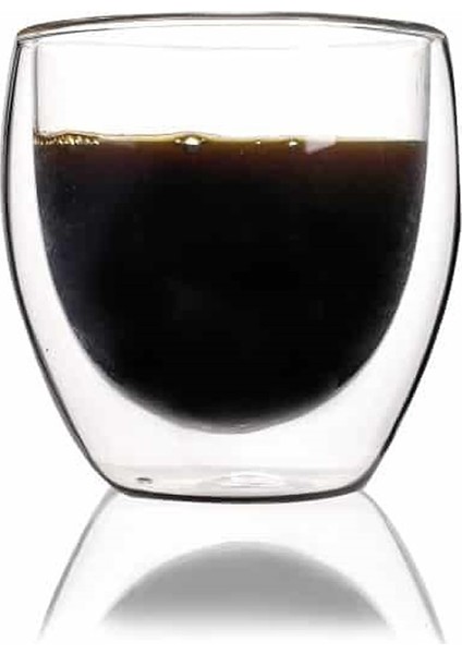 Double Wall 250ML Cam Bardak 12457