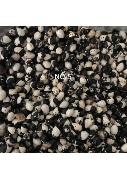 Yerli Sırık Ayşe Kadın Fasulye Tohumu (Siyah-Beyaz) 500 gr fiyatları