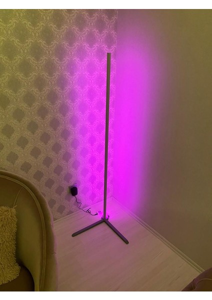 L Köşe Lambader Rgb LED Aydınlatma 150CM Metal Diffizörlü modelleri