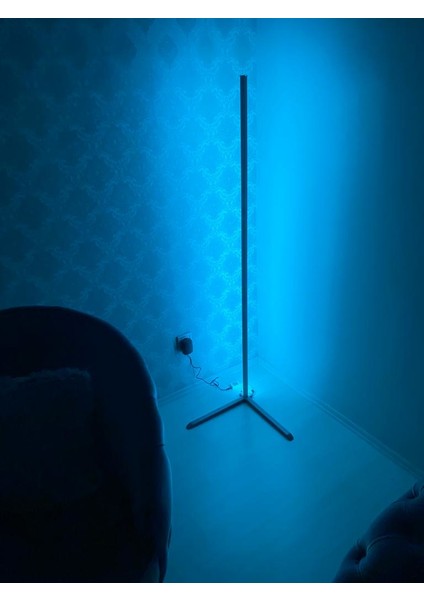 L Köşe Lambader Rgb LED Aydınlatma 150CM Metal Diffizörlü