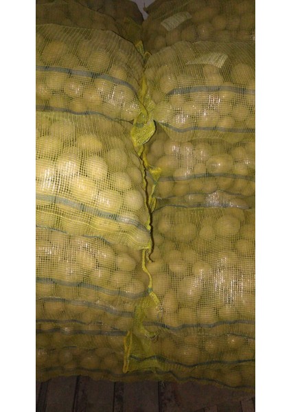 Cegel Ziraat Melody Patates Tohumu 25 kg