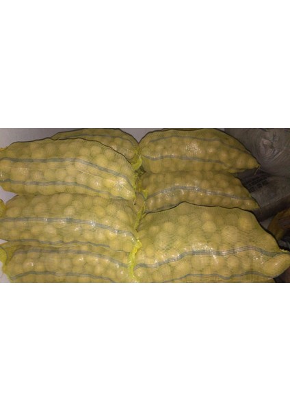 Cegel Ziraat Melody Patates Tohumu 5 kg