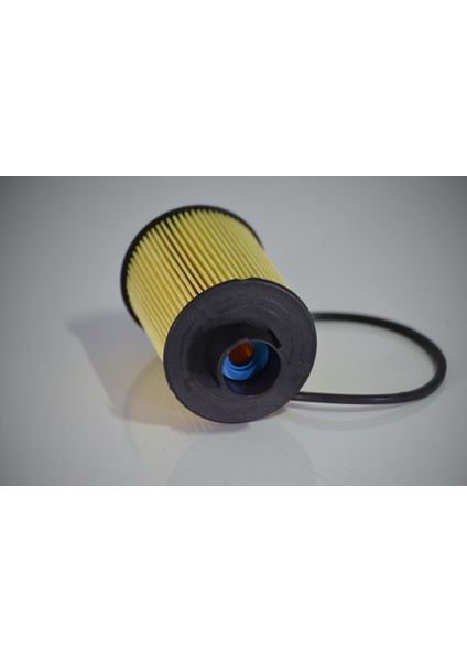 F 7118 Filtorq Filtre (Kağıt Tip)