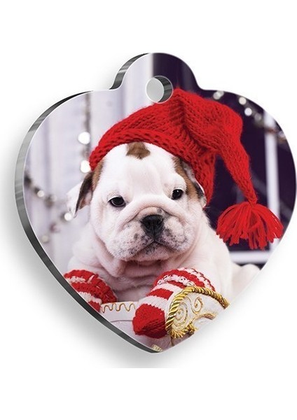 Knit Dog Kalp Köpek Künyesi