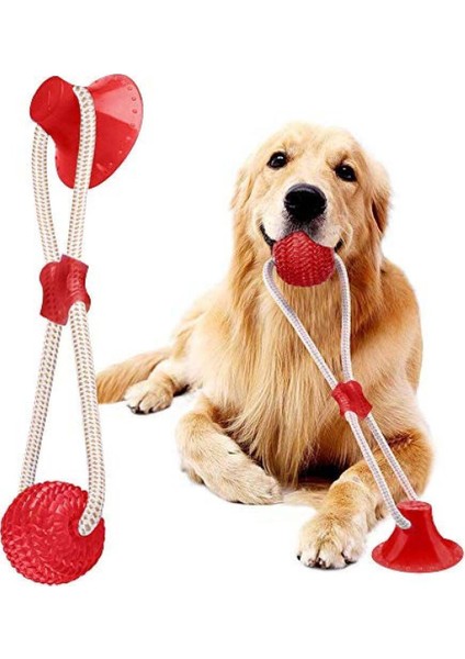 Vantuzlu Köpek Oyuncağı Mavi