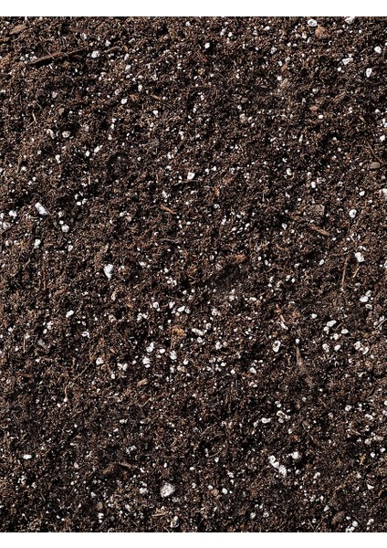 Tarsol Torf Bonsai Toprağı Özel Formül 10 Lt
