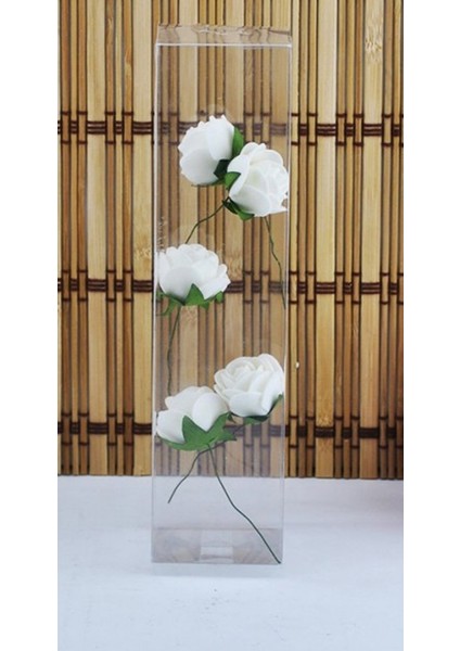 5x5x17 Cm Asetat Kutu 50 Li