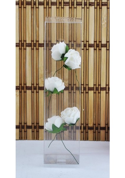 5x5x15 Cm Asetat Kutu 25 Li