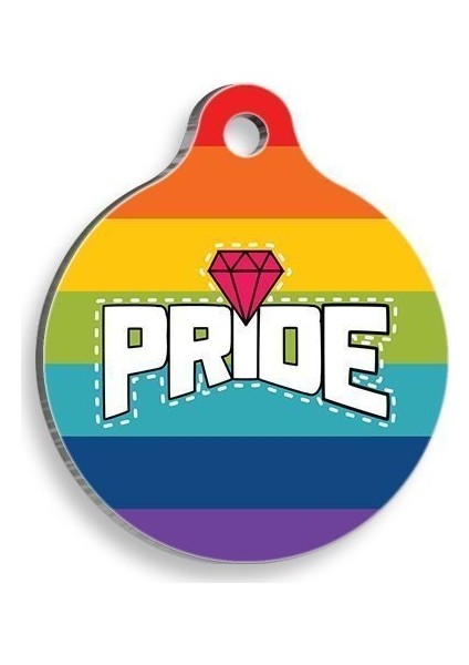 Pet Tag Art Gökkuşaklı Pride Yuvarlak Kedi ve Köpek Künyesi