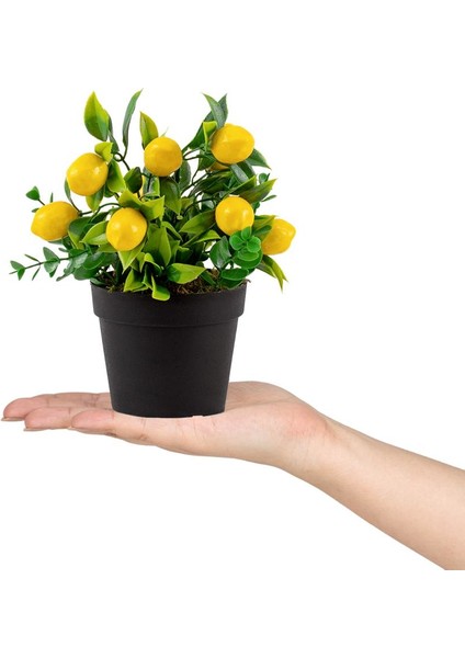3’lü Set Siyah Mini Plastik Saksıda Yapay Kokina, Limon ve Mandalina Çiçeği