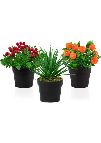 3’lü Set Siyah Mini Plastik Saksıda Yapay Kokina, Aloe Vera ve Mandalina Çiçeği
