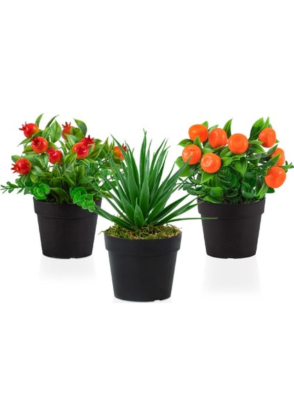 3’lü Set Siyah Mini Plastik Saksıda Yapay Nar, Mandalina ve Aloe Vera Çiçeği