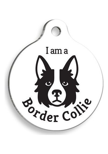 Beyaz Border Collie Yuvarlak Köpek Künyesi