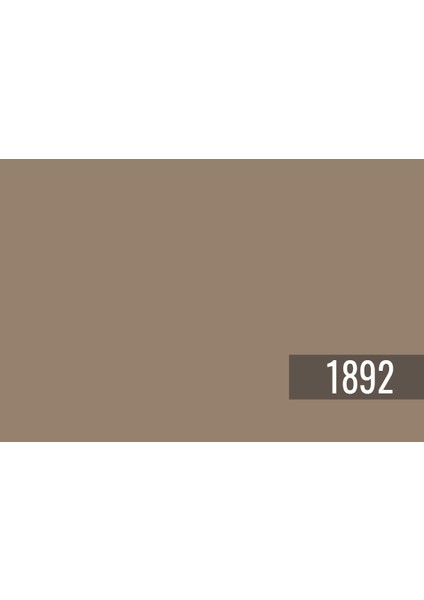 Muddy Water 1892 Dış Cephe Jotashield Silk Serisi 2 lt