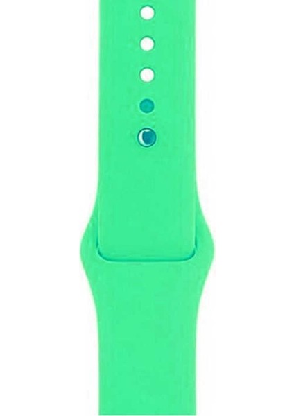 Apple Watch Uyumlu 42mm Kılıf Silikon Kordon Yeşil