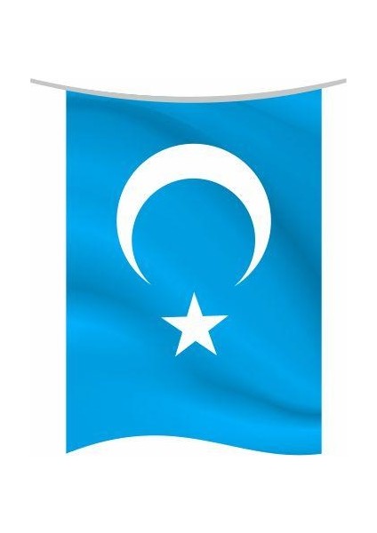 Doğu Türkistan Bayrağı 50 x 75 cm